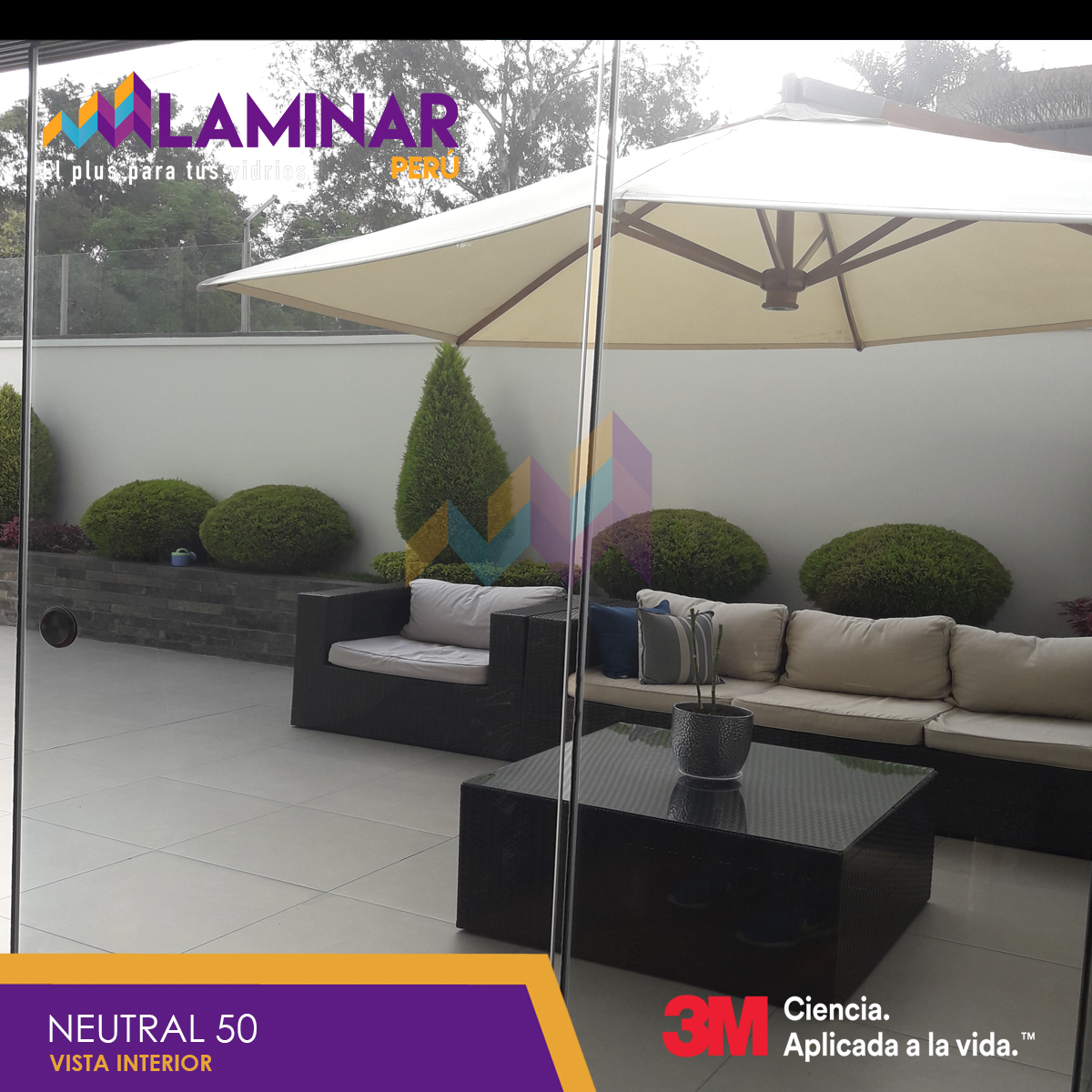 neutral 50 por dentro