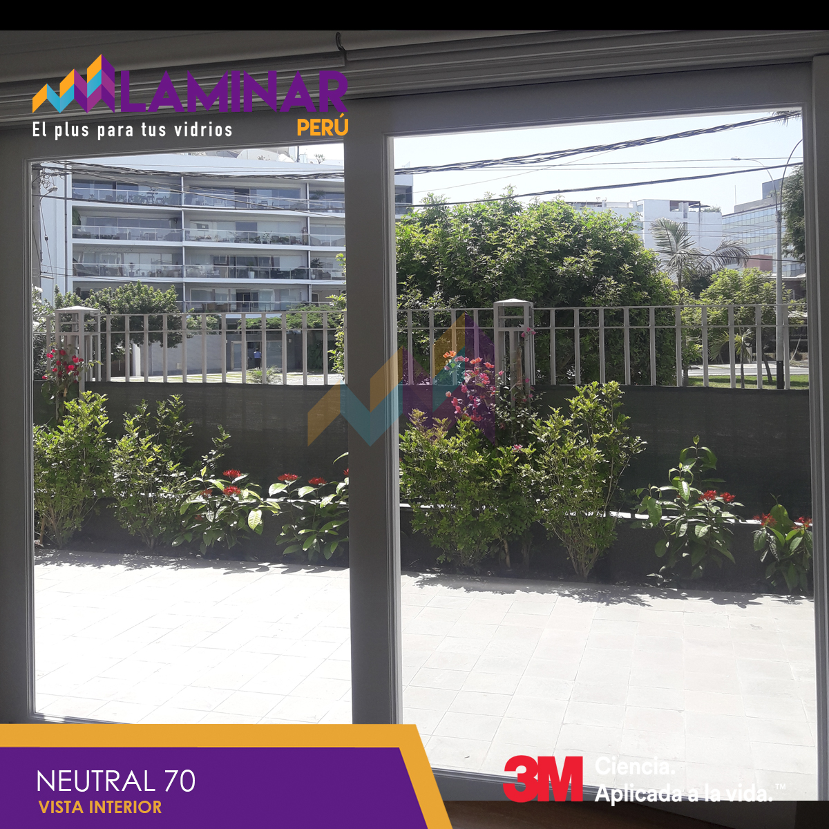 neutral 70 por dentro